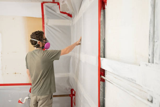 Best Mold Damage Restoration  in Coconut Creek, FL