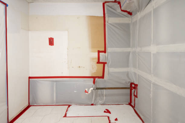Best Mold Remediation for Rental Properties  in Coconut Creek, FL