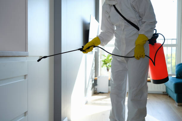 Environmental Consulting for Mold Prevention in Coconut Creek, FL