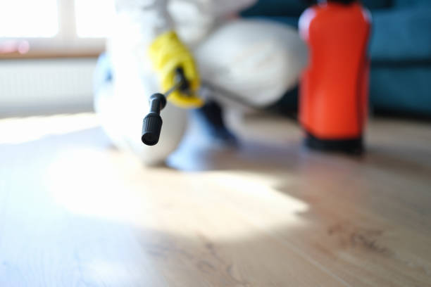 Best Biohazard Mold Removal  in Coconut Creek, FL
