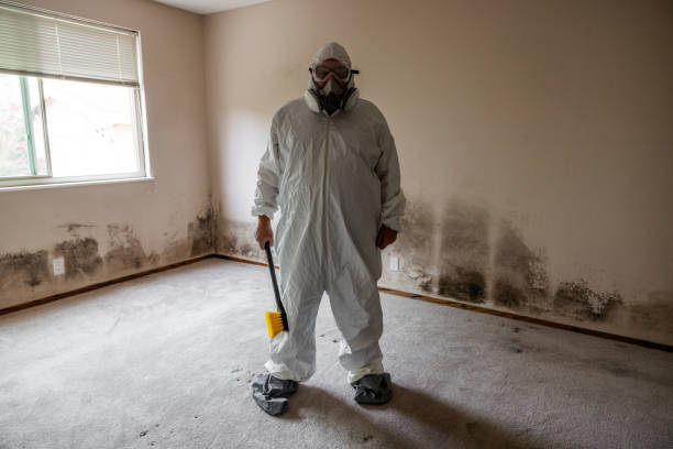 Best Emergency Mold Remediation  in Coconut Creek, FL